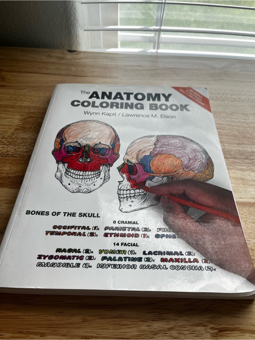 The Anatomy Coloring Book,  by Wynn Kapit (Author), Lawrence M. Elson (Author)